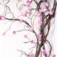 uploads/erp/collection/images/Home Garden/CongDing/XU0611767/img_b/XU0611767_img_b_2